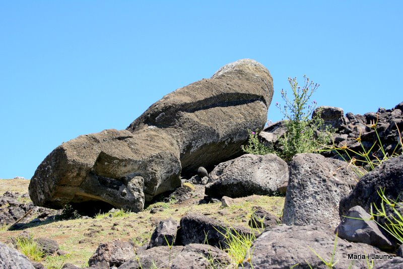 Moai caigut
